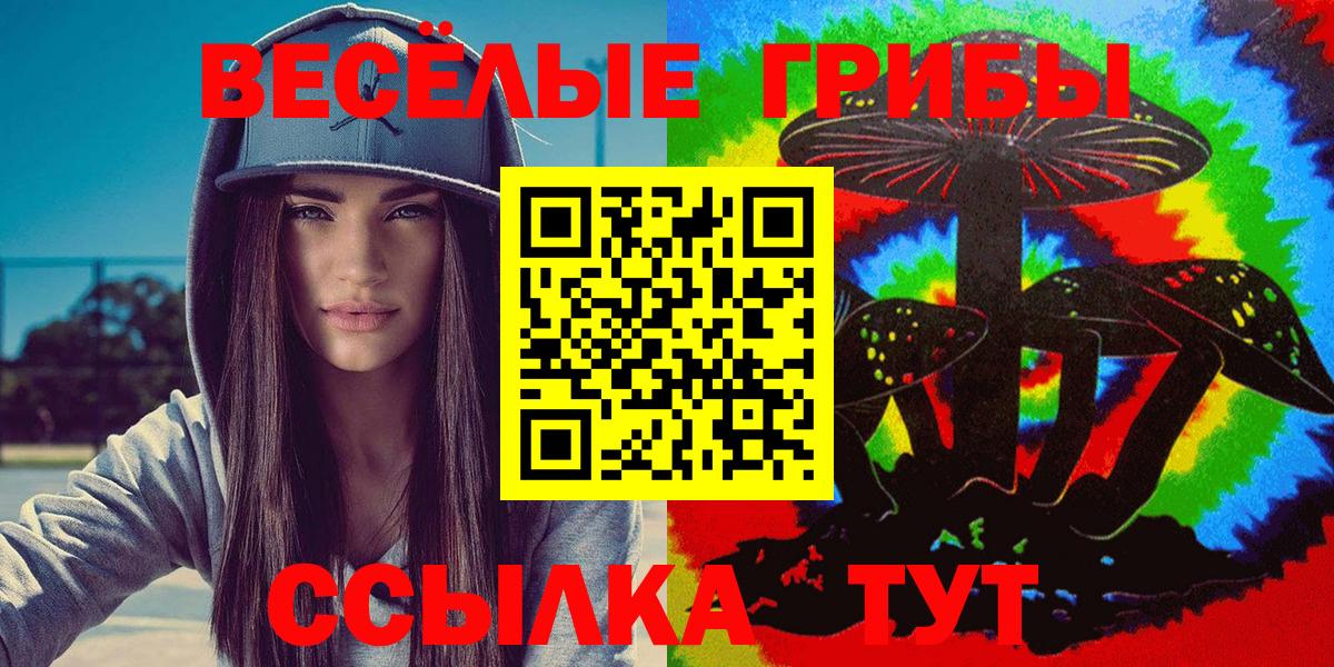 Еманжелинск  продажа наркотиков  Вход с VPN  Галлюциногенные грибы прущие грибы 